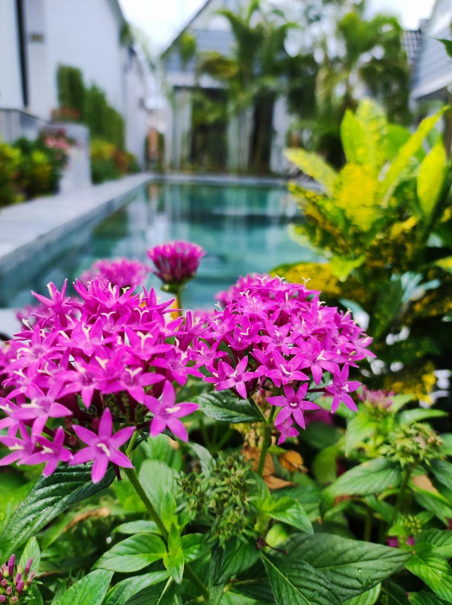 דואונג דונג Ngoc Trai Xanh Bungalow מראה חיצוני תמונה