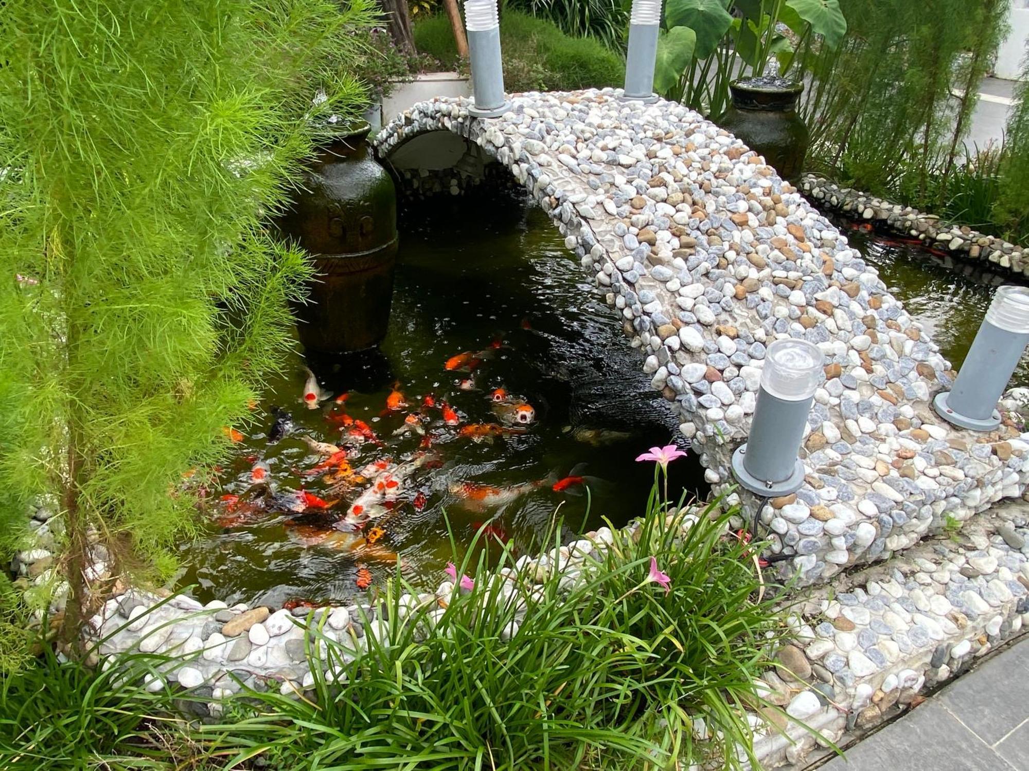 דואונג דונג Ngoc Trai Xanh Bungalow מראה חיצוני תמונה